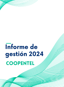 Informes de Gestion 2024